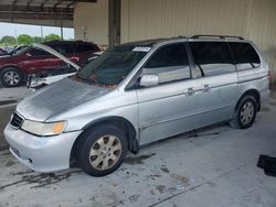 Salvage cars for sale at Homestead, FL auction: 2003 Honda Odyssey EXL