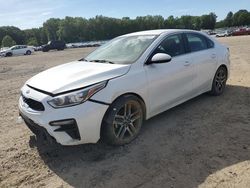 Salvage cars for sale at auction: 2019 KIA Forte EX