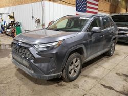 Salvage cars for sale at Anchorage, AK auction: 2023 Toyota Rav4 XLE