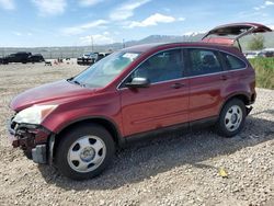 Honda salvage cars for sale: 2010 Honda CR-V LX