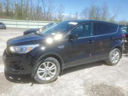 Salvage cars for sale from Copart Leroy, NY: 2019 Ford Escape SE