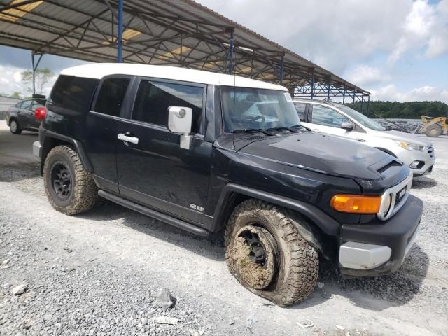 2007 Toyota FJ Cruiser