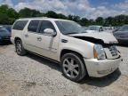 2010 Cadillac Escalade ESV Premium