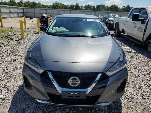 2020 Nissan Maxima SV