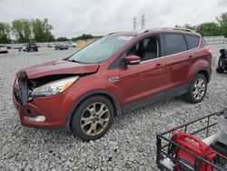 Salvage cars for sale at Barberton, OH auction: 2015 Ford Escape Titanium