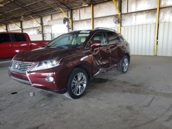 Salvage cars for sale at Phoenix, AZ auction: 2014 Lexus RX 350