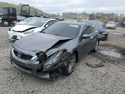 Honda Accord salvage cars for sale: 2010 Honda Accord EXL