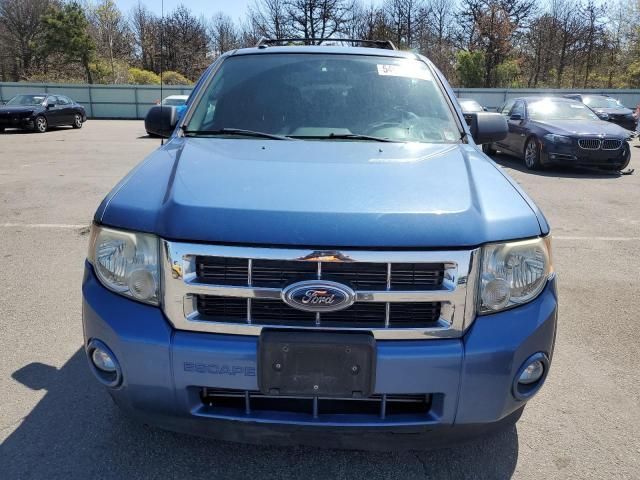 2009 Ford Escape XLT