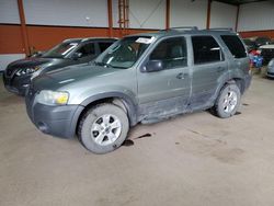 Salvage cars for sale from Copart Rocky View County, AB: 2006 Ford Escape XLT