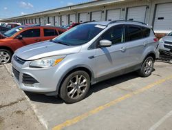 2015 Ford Escape SE en venta en Louisville, KY