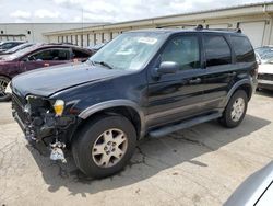 Salvage cars for sale from Copart Louisville, KY: 2006 Ford Escape XLT