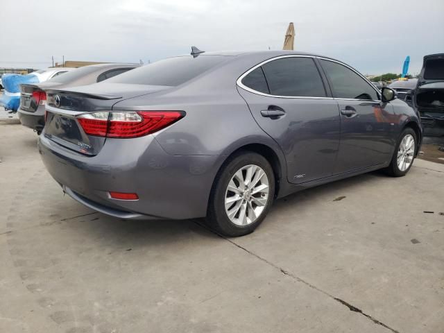 2013 Lexus ES 300H