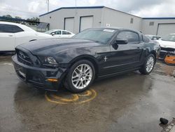 Ford Mustang salvage cars for sale: 2013 Ford Mustang