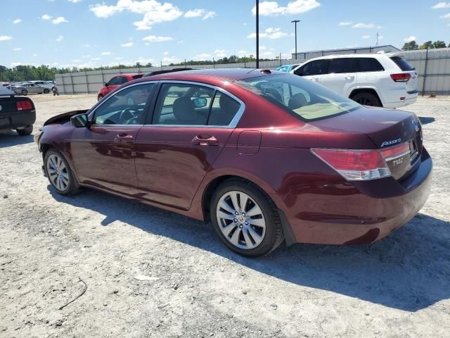 2011 Honda Accord EXL