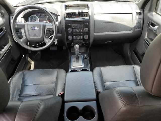 2010 Ford Escape Limited