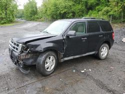 Vehiculos salvage en venta de Copart Marlboro, NY: 2010 Ford Escape XLT