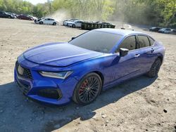 Salvage cars for sale from Copart Marlboro, NY: 2023 Acura TLX Type S PMC Edition