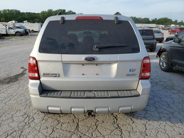 2008 Ford Escape XLT