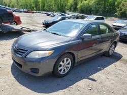 Vehiculos salvage en venta de Copart Marlboro, NY: 2010 Toyota Camry Base