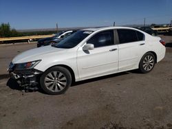 Salvage cars for sale at Albuquerque, NM auction: 2014 Honda Accord EXL