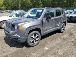 Jeep Renegade Trailhawk salvage cars for sale: 2019 Jeep Renegade Trailhawk