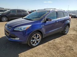 Salvage cars for sale at Brighton, CO auction: 2013 Ford Escape Titanium