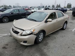 Salvage cars for sale at Rancho Cucamonga, CA auction: 2010 Toyota Corolla Base