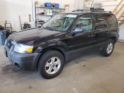 Salvage cars for sale at Ham Lake, MN auction: 2007 Ford Escape XLT