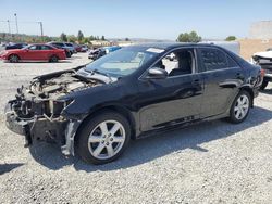 Salvage cars for sale at Mentone, CA auction: 2013 Toyota Camry L