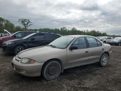 Salvage cars for sale at Des Moines, IA auction: 2004 Chevrolet Cavalier