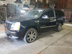 Salvage cars for sale from Copart Albany, NY: 2008 Cadillac Escalade Luxury