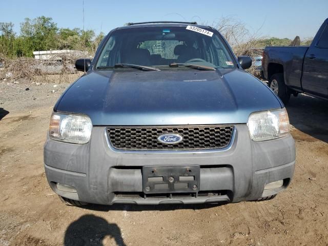 2001 Ford Escape XLT