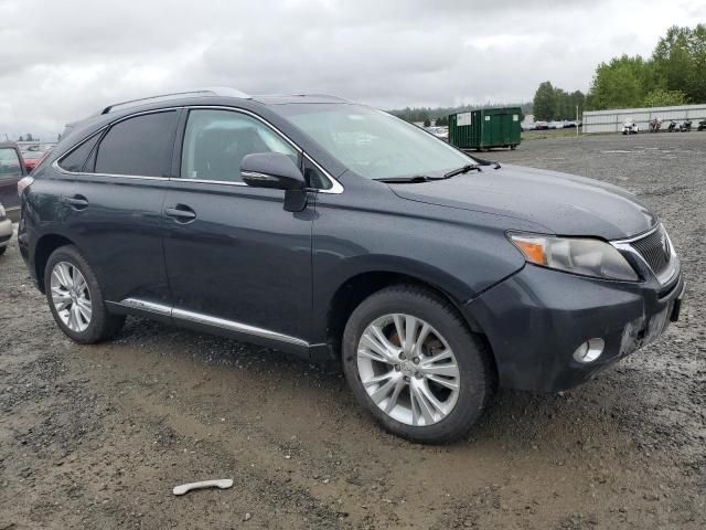 2010 Lexus RX 450