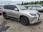 2020 Lexus GX 460 Premium