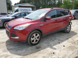 Salvage cars for sale from Copart Seaford, DE: 2016 Ford Escape SE