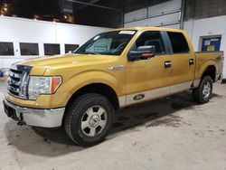 Salvage cars for sale from Copart Blaine, MN: 2009 Ford F150 Supercrew