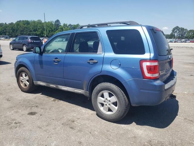 2009 Ford Escape XLT