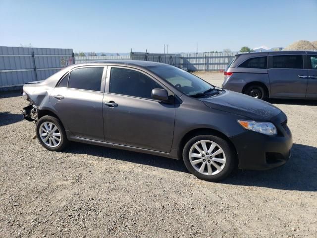 2009 Toyota Corolla Base