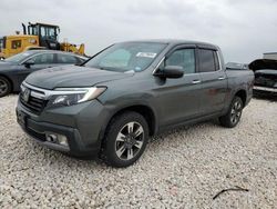 Salvage cars for sale at Temple, TX auction: 2019 Honda Ridgeline RTL