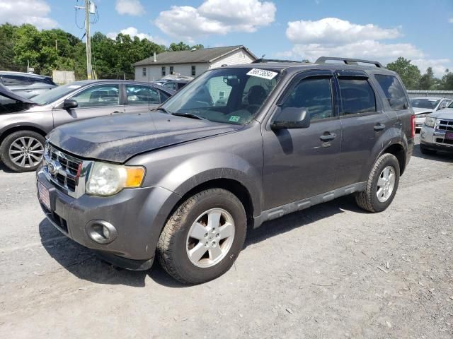 2012 Ford Escape XLT