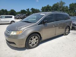 Salvage cars for sale at Ocala, FL auction: 2011 Honda Odyssey EXL