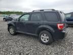 2011 Ford Escape Hybrid