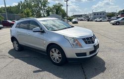 Salvage cars for sale at Exeter, RI auction: 2011 Cadillac SRX Luxury Collection