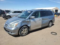 Salvage cars for sale at Brighton, CO auction: 2006 Honda Odyssey EXL