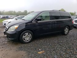 Honda salvage cars for sale: 2006 Honda Odyssey EXL