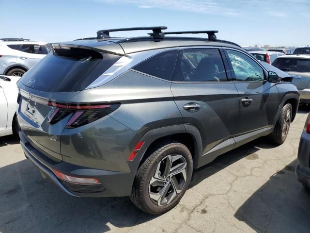 2023 Hyundai Tucson Limited