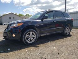 Salvage cars for sale at York Haven, PA auction: 2011 Hyundai Santa FE Limited