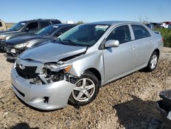 Toyota salvage cars for sale: 2010 Toyota Corolla Base