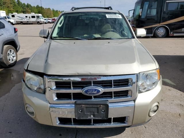 2011 Ford Escape Limited