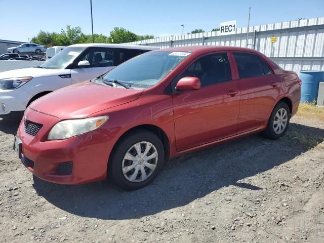 2009 Toyota Corolla Base